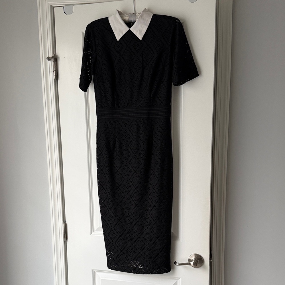 New York & Company Black Dress with White Collar